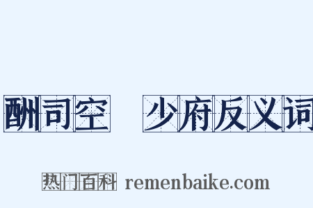 酬司空璲少府反义词是什么意思的图片